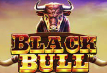 logo black bull pragmatic